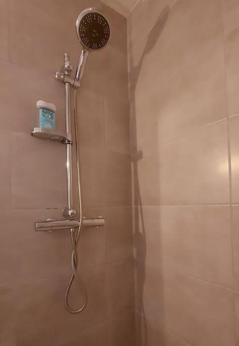 Apartament Zenith - Cartoucherie Tuluza Zewnętrze zdjęcie