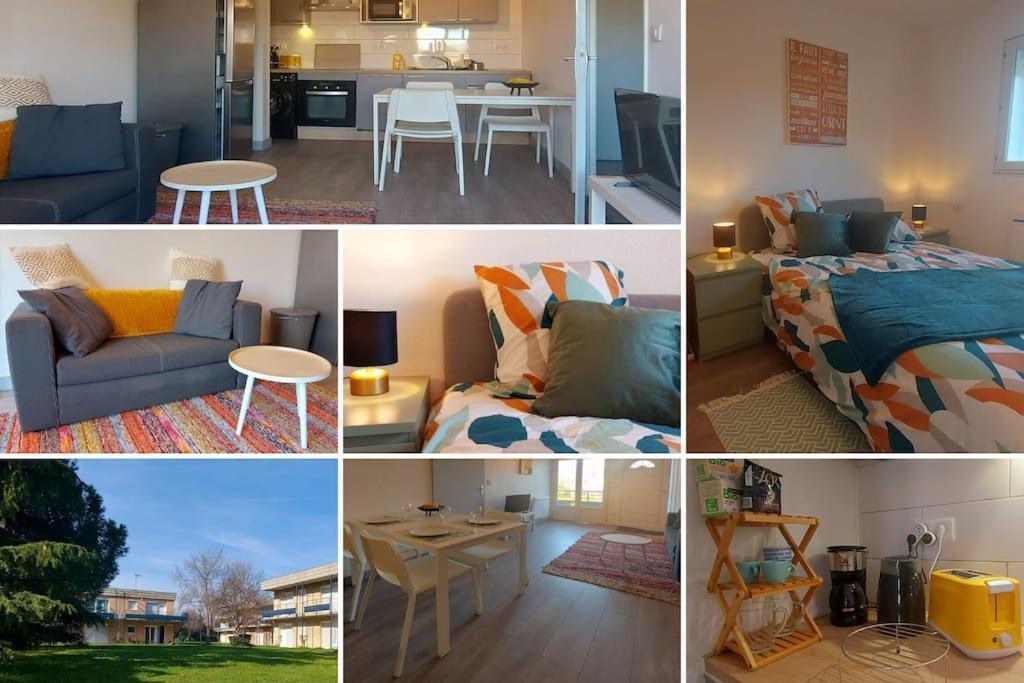 Apartament Zenith - Cartoucherie Tuluza Zewnętrze zdjęcie